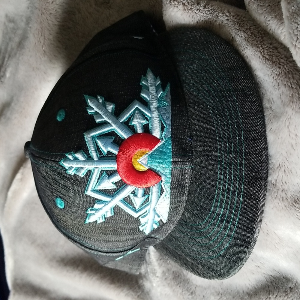 Lyrical Visions Colorado Snow Artist Signature Series Hat